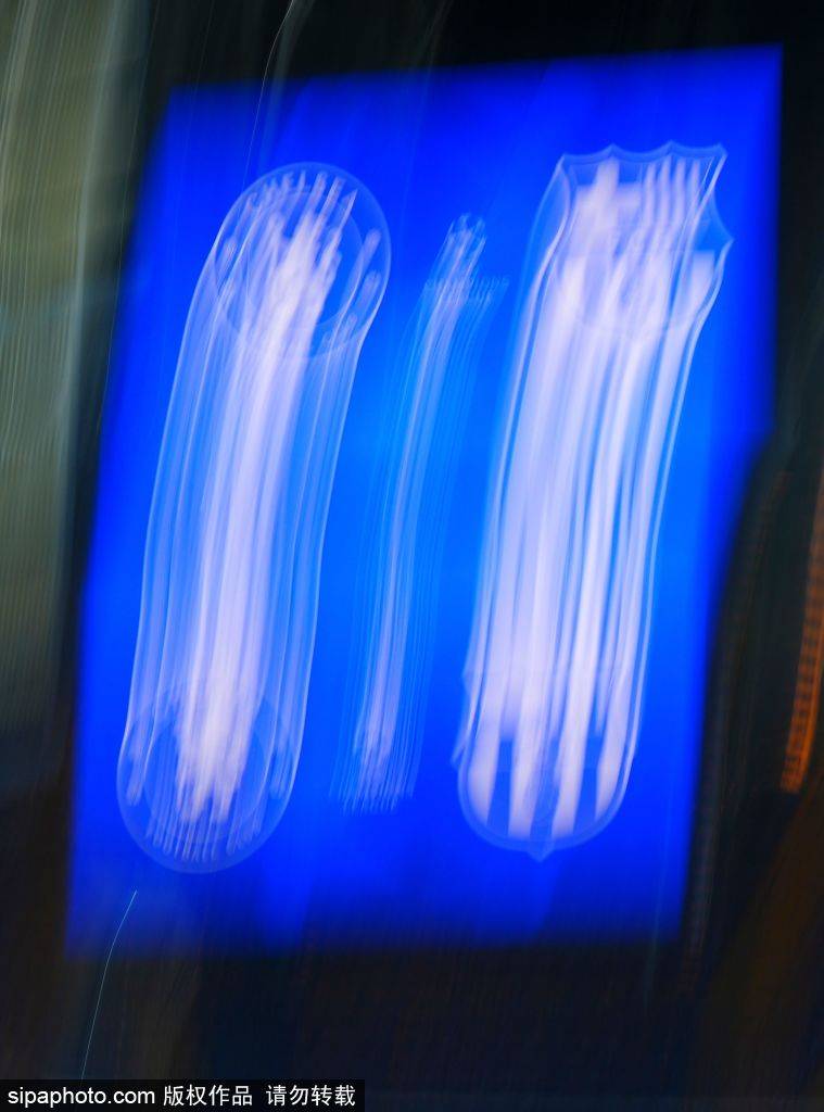 安德烈·桑托斯：3-0战胜巴萨，追梦欧冠的骄傲时刻